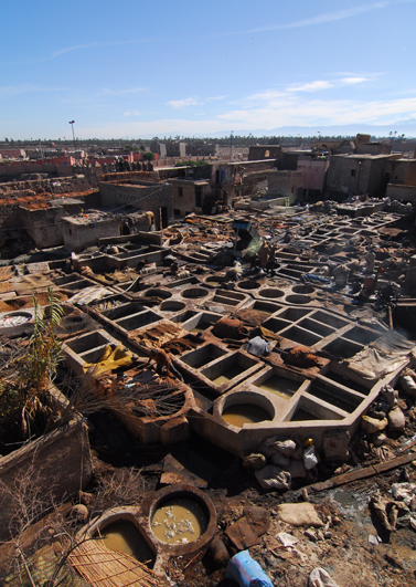 [Marrakech tannery]