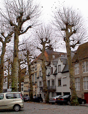 [Bruges streetscape]