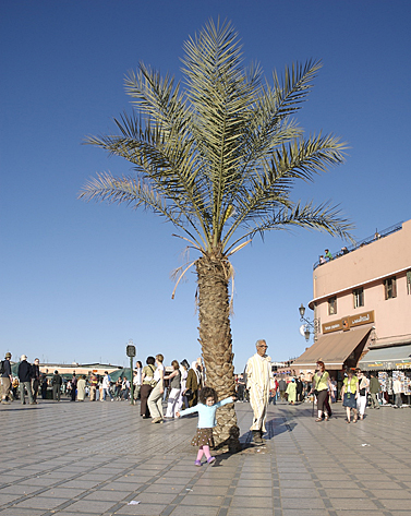 [Hannah dancing in Place Djemaa elFna]